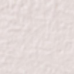 Palakollu Terrain Map