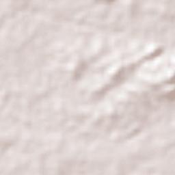 Cuajinicuilapa Terrain Map