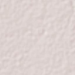 Asunción Ixtaltepec Terrain Map