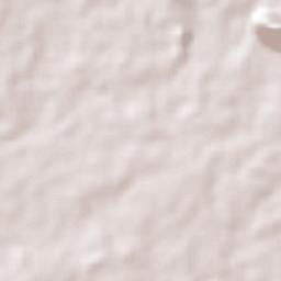 Santo Domingo Zanatepec Terrain Map