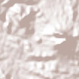 Nueva Tenochtitlán (Rizo de Oro) Terrain Map