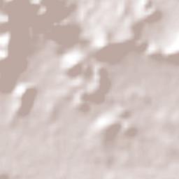 José María Pino Suárez Terrain Map