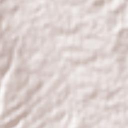 Nuevo Vicente Guerrero (El Chichonal) Terrain Map