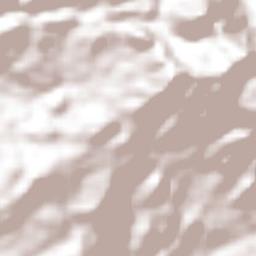 Nuevo León Terrain Map