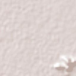 Chicapa de Castro Terrain Map