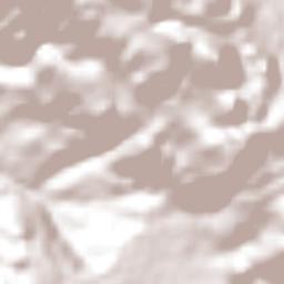 El Puerto Terrain Map