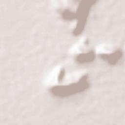 Mangalagiri Terrain Map