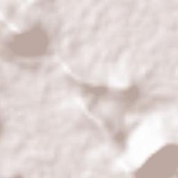 Amphoe Nong Sung Terrain Map