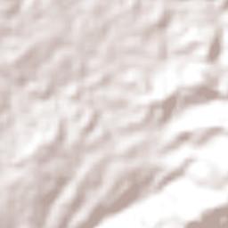 San Miguel Tlacamama Terrain Map