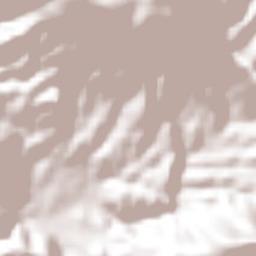 San Vicente Coatlán Terrain Map