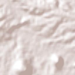 Ricardo Flores Magón Terrain Map