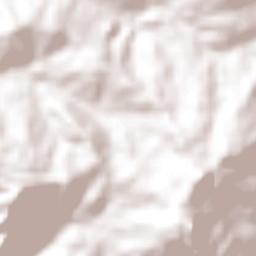 Guadalupe Victoria Terrain Map