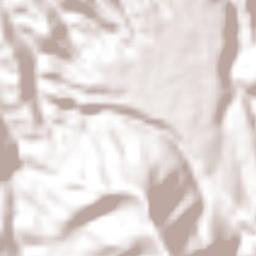 San Francisco Logueche Terrain Map