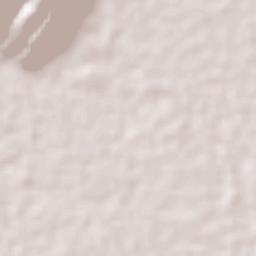 Colonia San Luis Terrain Map