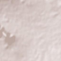 Doctor Domingo Chanona Terrain Map