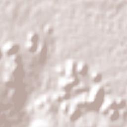 El Parral Terrain Map