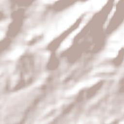 Miguel Hidalgo Terrain Map