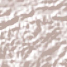 Municipio de Poptún Terrain Map