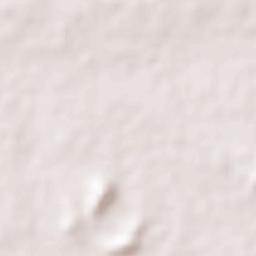 Wanparti Terrain Map