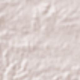 Santo Domingo Armenta Terrain Map