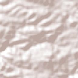 Rancho Viejo Terrain Map