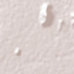 Santo Domingo Tehuantepec Terrain Map