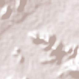 Villa Hidalgo Terrain Map