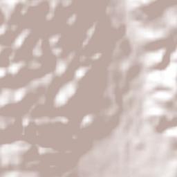 Los Riegos Terrain Map