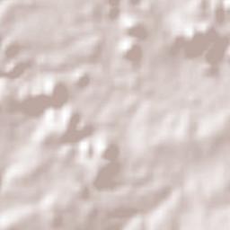 Las Margaritas Terrain Map