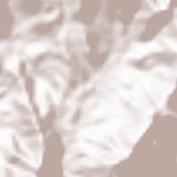 Washḩah Terrain Map