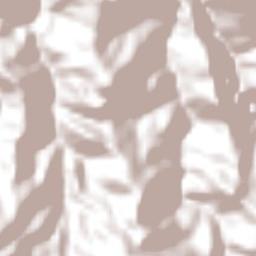 San Juan Mixtepec -Dto. 26 - Terrain Map