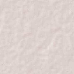 Chahuites Terrain Map