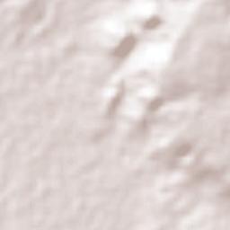 San Francisco Pujiltic Terrain Map