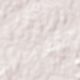 Kankauli Terrain Map