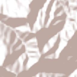 San Andrés Paxtlán Terrain Map