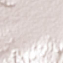 Rincón Moreno Terrain Map