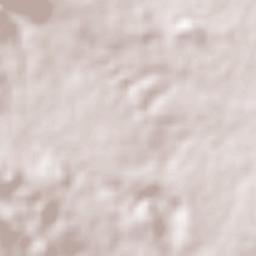 Comitán Terrain Map