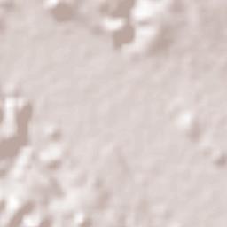 Buenavista Terrain Map