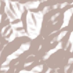 San Sebastián Coatlán Terrain Map