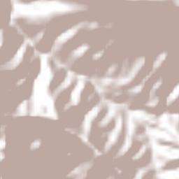 San Miguel Coatlán Terrain Map