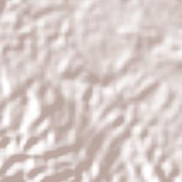 Maravilla Tenejapa Terrain Map