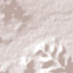 Revolución Mexicana Terrain Map