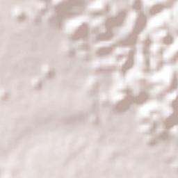 El Porvenir Agrarista Terrain Map