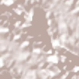 Nuevo San Juan Chamula Terrain Map