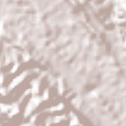 Santo Domingo de las Palmas Terrain Map