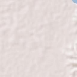 Alaminos Terrain Map