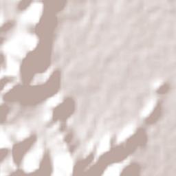 Diamante de Echeverría Terrain Map