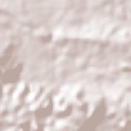 La Trinitaria Terrain Map