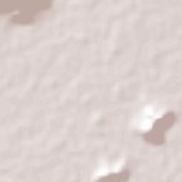 Santa Rosa de Lima Terrain Map