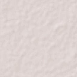 Paredón Terrain Map